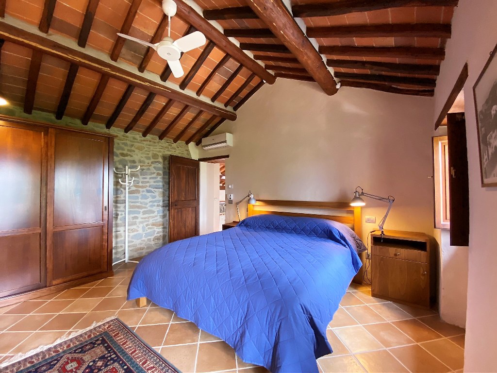 16529-df9cc4cdcd2aea1e